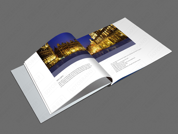 ����ʵҵ,LED������� ����Դ���־��ƣ�LED��ƷVIS��ƣ�����Դ�����̱����