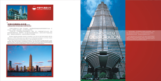 �Ϻ������������޹�˾ ������־��� ������˾VIS��� ������װ���