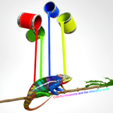 ���ǿƼ�(�й�)���޹�˾