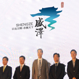 ��ʢ��VIS��Ʊ�ʶ���