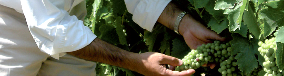 ��ͼ��ƹ�˾|�������ȵ�Ʒ�Ʋ߻�����