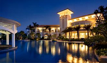 ��ɫ�����Ƶ����VI���